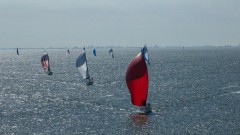 50-mijls-2026-0584
