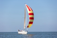 50-mijls-2026-8612