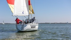 50-mijls-2026-8623