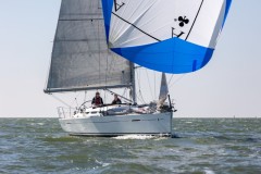 50-mijls-2026-8908